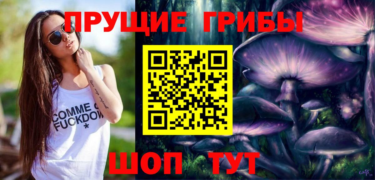 Михайловск  Галлюциногенные грибы Magic Shrooms  Вход с VPN  Галлюциногенные грибы прущие грибы 