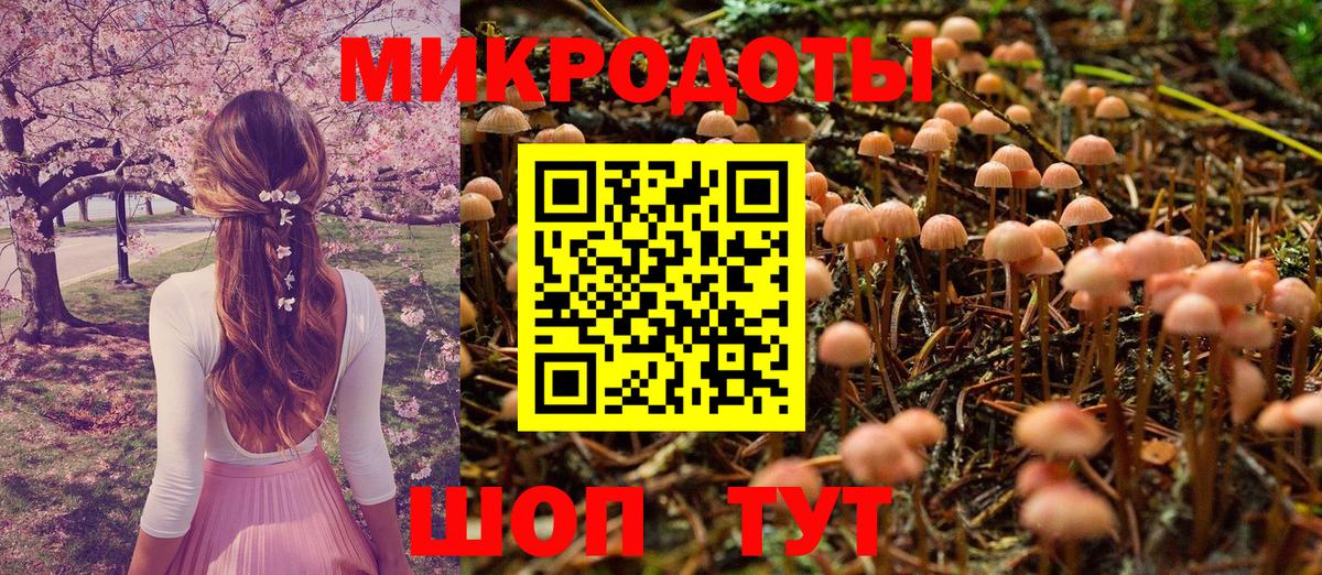 Галлюциногенные грибы прущие грибы Михайловск